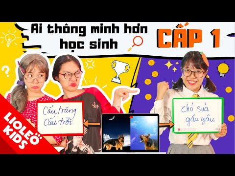 GAMESHOW AI THÔNG MINH HƠN HỌC SINH CẤP 1 - Lee Cie đối đầu Hội cao tuổi, đội nào sẽ vô địch?!