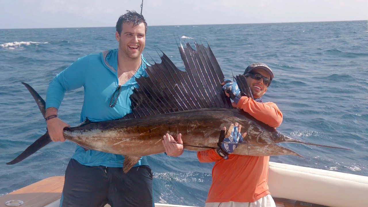 Sailfish, Mahi and Jacks on the Bronx Tale - 4K