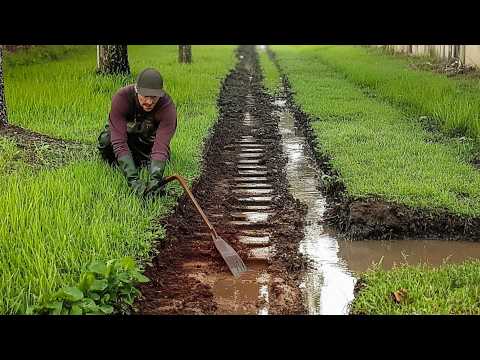 Man Mowns Entire OVERGROWN Neighbourhood for FREE | Complete Transformation by @bryanbiglin4795