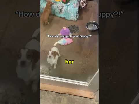 Don't Click The Sound!
