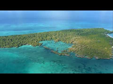 Bogdan Vix & KeyPlayer feat. Mona Moua - Save Me (Extended Mix)