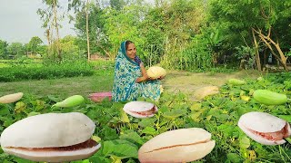 फूट ककड़ी | खेत के ताजे फुट ककड़ी को स्वादिस्ट चाट कैसे बनाते है || Foot kakadi ka chat recipe |