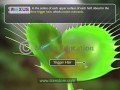 Insectivorous Plants and Their Mechanisms
