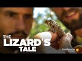 Anole Adaptation and Ecology Concepts