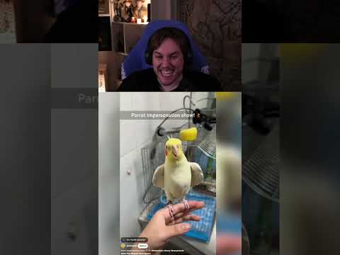 Rraenee | Çok Akıllı Bunlar Yaa