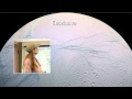 Geological Features of Moons in the Solar System