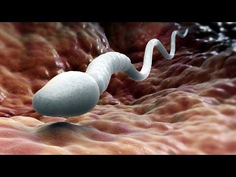 ИЗ МУЖЧИНЫ В ЖЕНЩИНУ как это работает