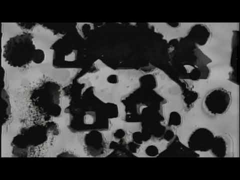 Demi Lovato - 4 EVER 4 ME (Visualizer)
