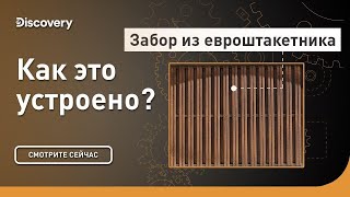 видео