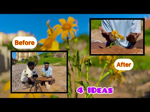 ( 4 VIDEO IDEAS )Using A Flower ๐ปAnd Your Smart Phone