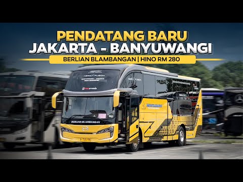 PENDATANG BARU DIJALURNYA , LANGSUNG HADIRKAN 2 KELAS ‼️Trip Berlian Blambangan Jakarta - Banyuwangi