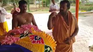 TV KRISHNA NETWORK. Cows worship in Vedic Way in South India.