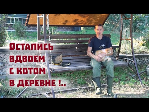 Много работаю в городе и в итоге остаюсь один в деревне!