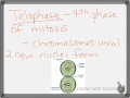 Cell Cycle and Mitosis Concepts