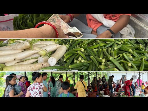 पहिले सिस्नु फाँडेर फाल्थ्यौं, अहिले घरखर्च चल्याछ | Aabukhaireni Haatbajar