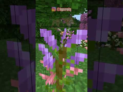 Minecraft Tapi Kalau LIHAT UNGU = Harus FACE REVEAL