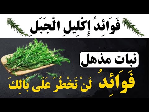 فوائد إكليل الجبل 🌿  نبات مذهل و فوائد لن تخطر على بالك