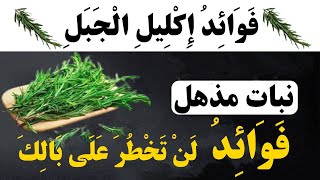 فوائد إكليل الجبل 🌿  نبات مذهل و فوائد لن تخطر على بالك