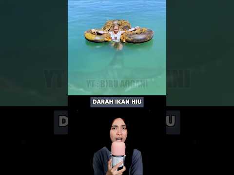 Darah Ikan Hiu Mengalir Ditubuhnya