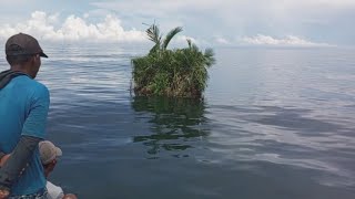 La isla mas pequeña del mundo