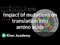 Impact of Mutations on Amino Acid Translation