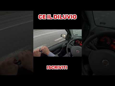 FIAT PANDA ROTTA | COSA DEVO FARE ?