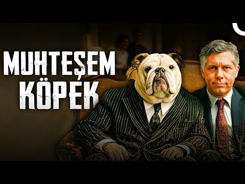 Muhteşem Köpek | FULL HD Komedi Filmi İzle