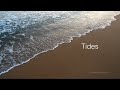 Tidal Forces and Lunar Dynamics
