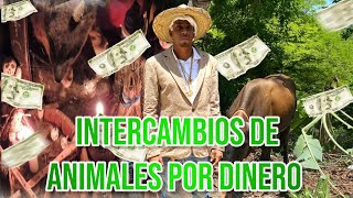 INTERCAMBIOS DE ANIMALES POR RIQUEZA CON EL BRUJO JESÚS SÁNCHEZ