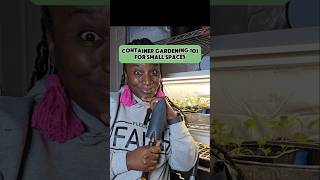 Container Gardening For Small Spaces