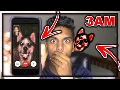 DO NOT FACETIME SMILE DOG WHEN SPINNING A FIDGET SPINNER AT 3AM!! *OMG SMILE DOG CAME TO MY HOUSE*