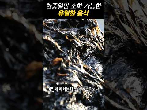 한중일만 소화 가능한 유일한 음식
