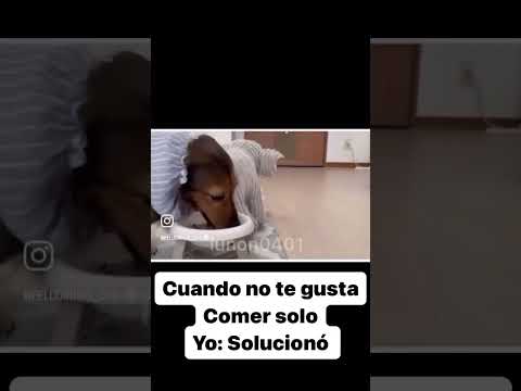 es lo mejor que verás hoy ! ??