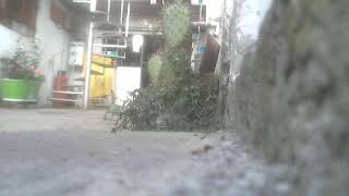 Vigilando La Casa