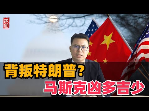 马斯克背叛特朗普？商人干政凶多吉少