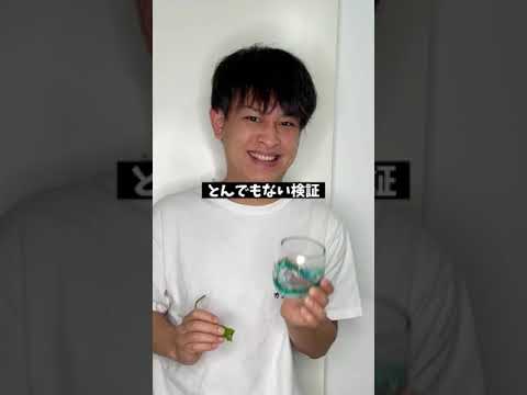 彼女にアロエ汁舐めさせたらとんでもない検証結果が…