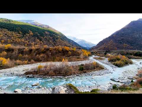 Relaxing Sounds of a Mountain River Every Autumn Morning