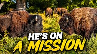 Things Are Getting HEATED in the Big Joe Herd!
