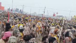 महाकुंभ मे साधुओ के दर्शन रोंगटे खड़े कर देने वाला दृश्य #mahakumbh2025