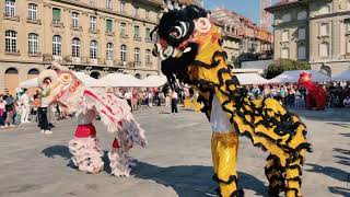 Löwentanz in Bern | Meeting China 2023