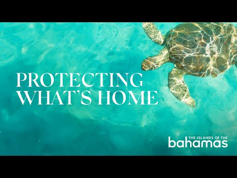 Protecting What's Home - The Exumas