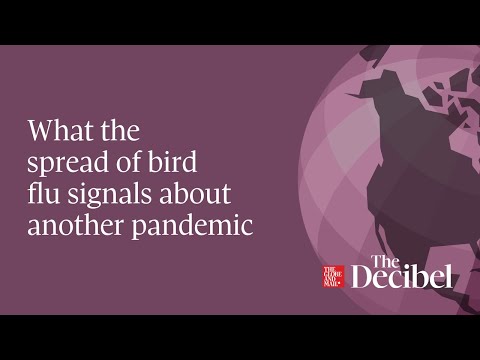 What the spread of bird flu signals about another pandemic