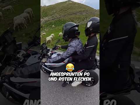 Was ist mit den Schafen passiert?