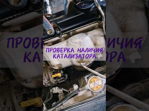 Катализатор уже удалён? Проверка на наличие катализатора на автомобиле.
