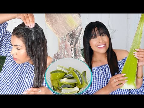 SABILA PARA HACER CRECER EL CABELLO RÁPIDO 🌵TRATAMIENTO CASERO DE ALOE VERA |FASHIONBYCAROL