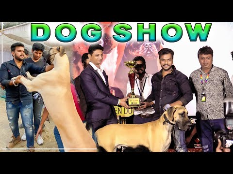 DOG SHOW 2023 WINNER | amravati dog show 2023 | #dogs #dogshow #animals #vlog