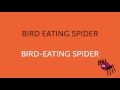 Hyphen Usage and Meaning