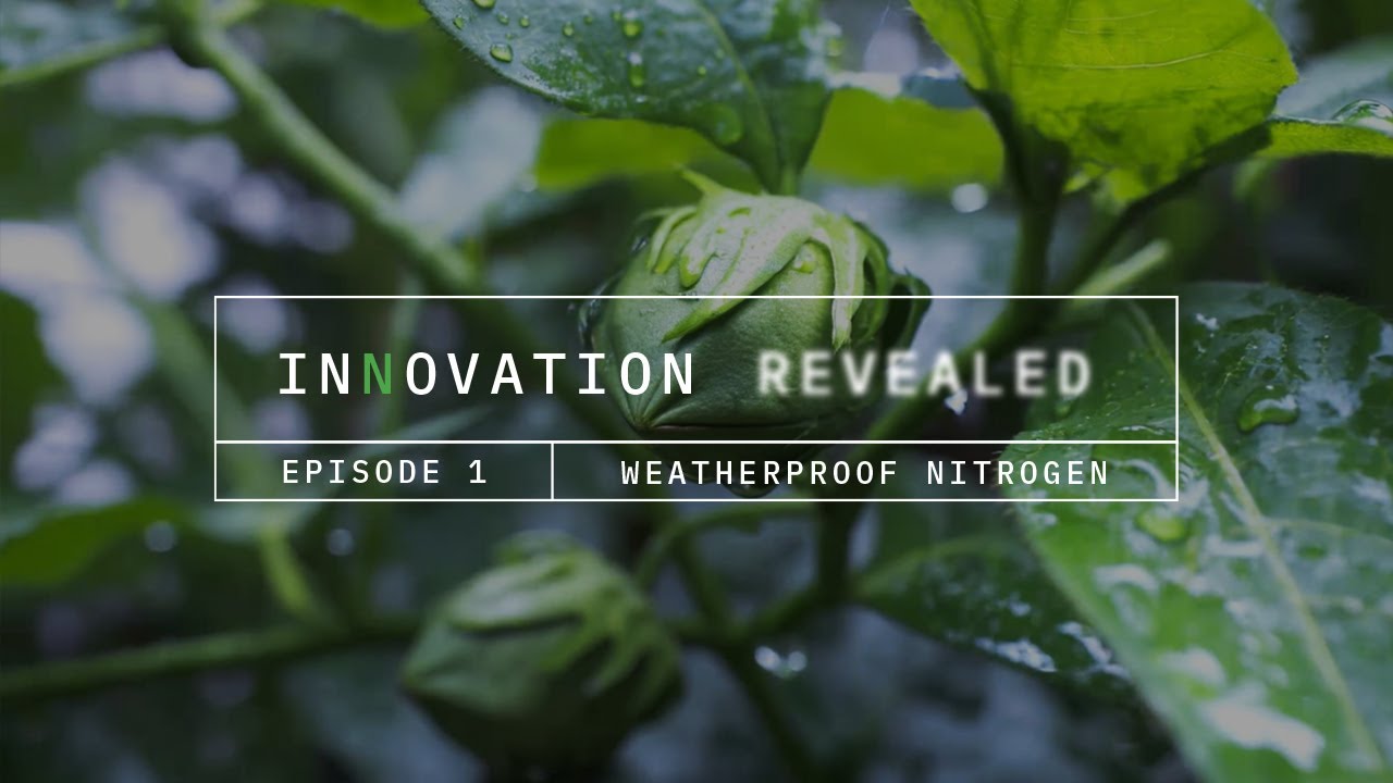 Episode 1 - Weatherproof Nitrogen