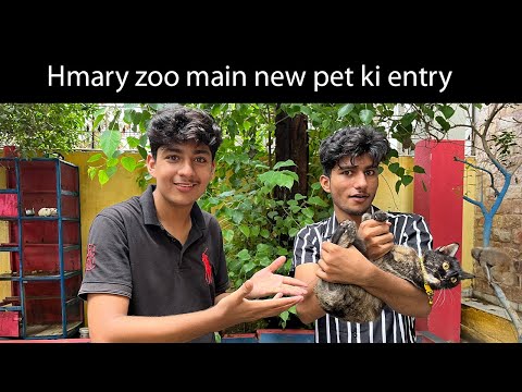 Hmary zoo main ak new Pet ki entry 😍 | pets vlog