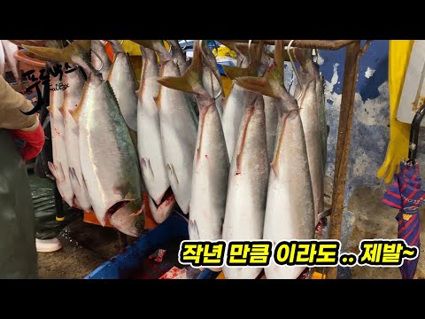 딱 작년 만큼만 이라도... 제발~    [미리보는 11월의 수산시장]